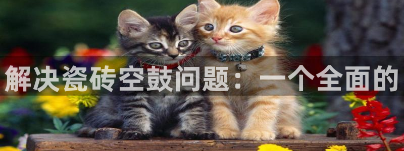 必一体育网页：解决瓷砖空鼓问题：一个全面的