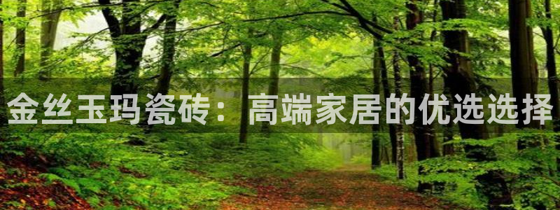 b体育官网下载入口app必一：金丝玉玛瓷砖：高端家居的优选选择