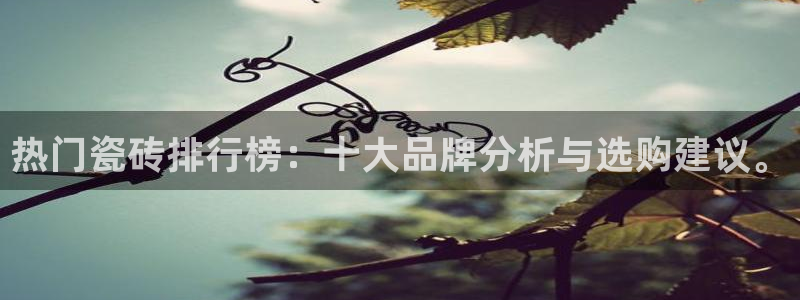 必一体育下载app下载