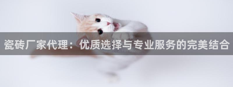 必一体育可靠吗