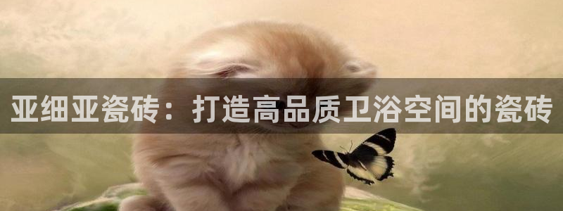 必一体育网页