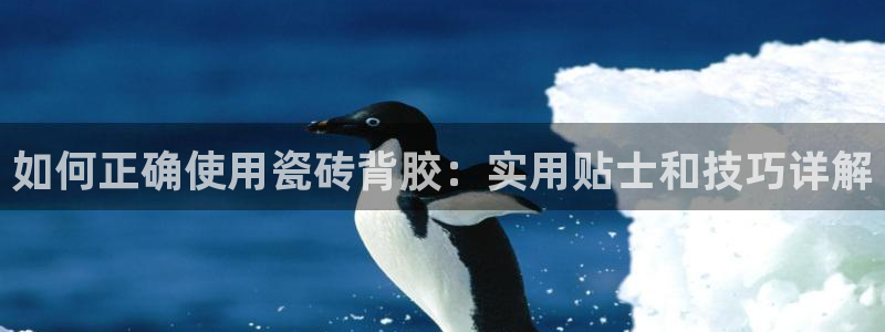 必一体育app官方下载