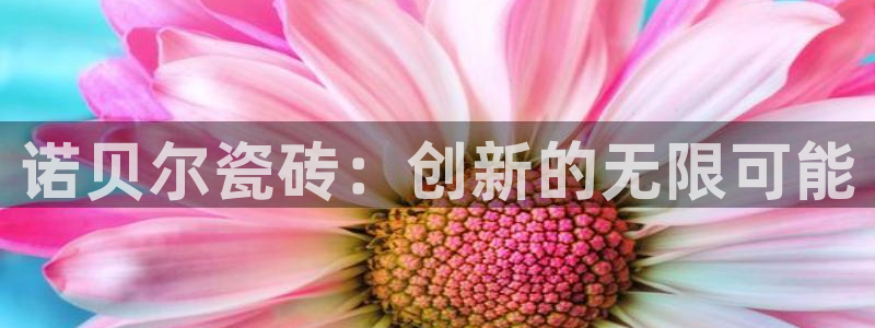 必一运动bsport体育app下载