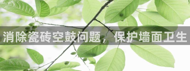 必一体育网址