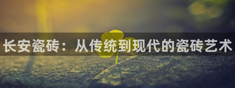 必一体育在哪下
