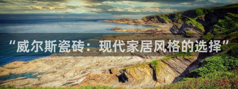 必一运动体