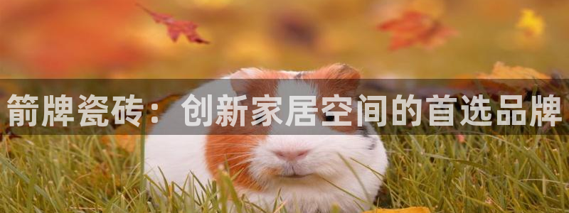 必一运动体育官网下载