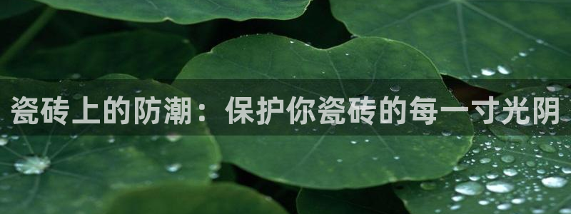 必一体育游戏特色