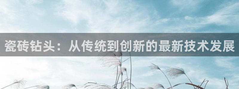 必一体育app下载最新版本