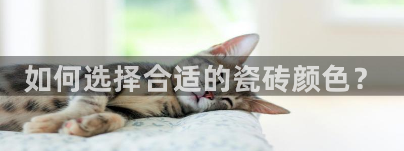 必一体育官方入口