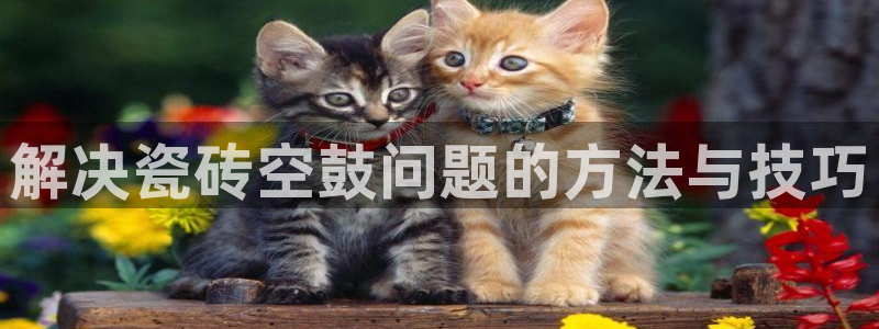 必一体育怎么下载