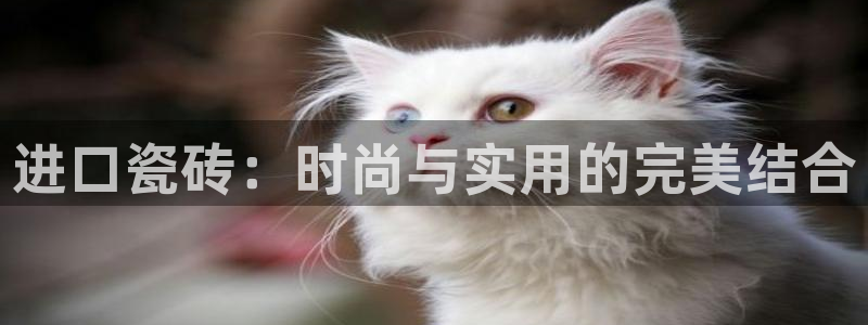 必一体育登录入口