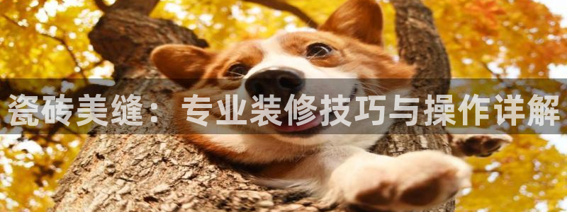 b体育必一运动网页版在线登录入口