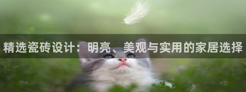 必一体育官方入口