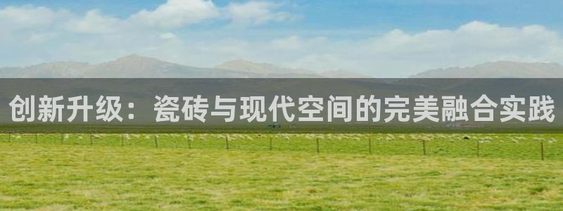 必一体育是哪里的台子