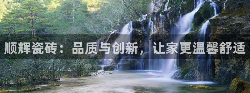 必一体育bsport下载