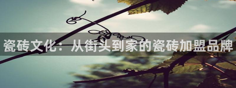必一体育app官方网站