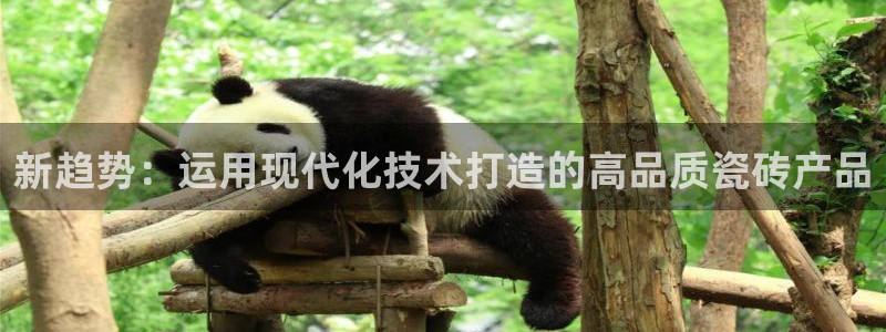 必一体育APP