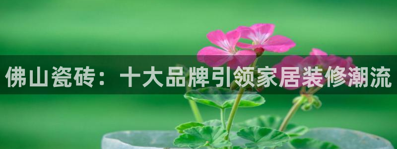 必一运动体