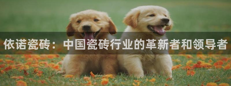 必一体育app官方网站