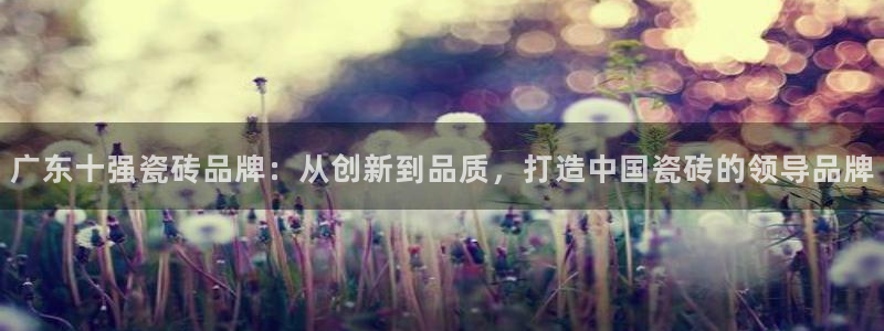 必一体育app官方