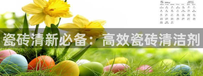 必一体育APP下载安装