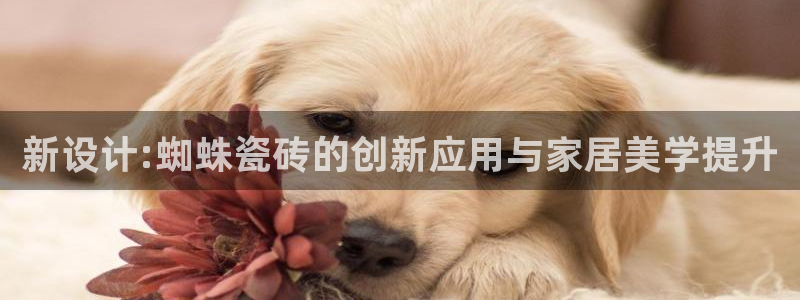 必一体育是哪里的台子