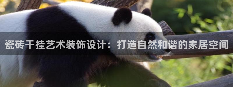 必一体育app官方