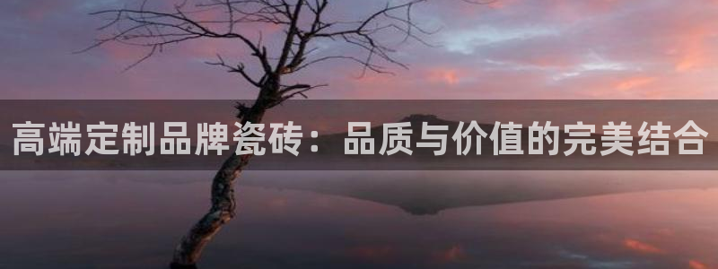 b体育必一运动网页版在线登录入口