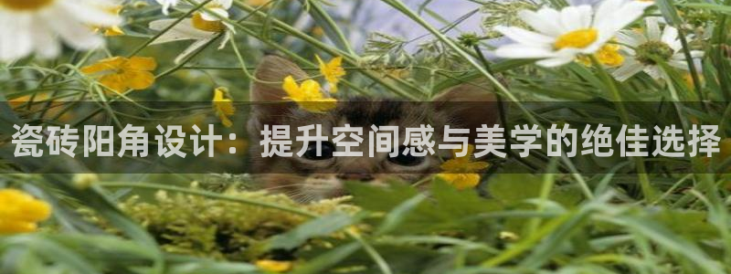 必一运动官网登录入口