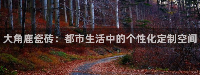 必一体育在线玩