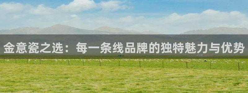 必一运动 b 体育素描版