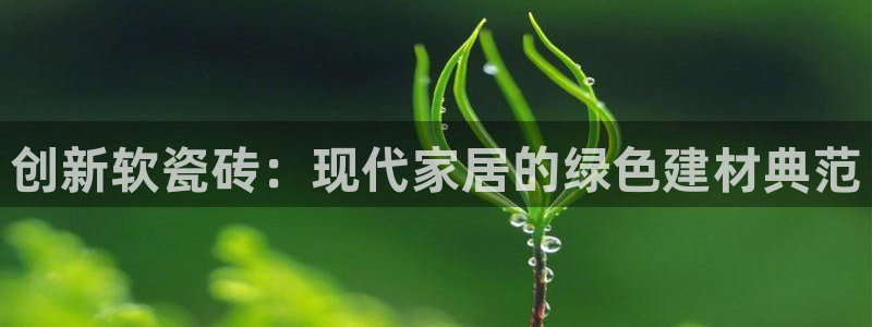 必一体育下载一样吗