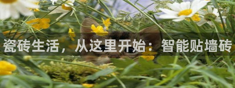 必一体育app官方下载入口