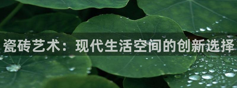必一体育最新官网入口首页