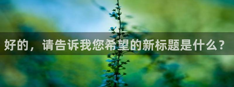 必一体育皮尔斯