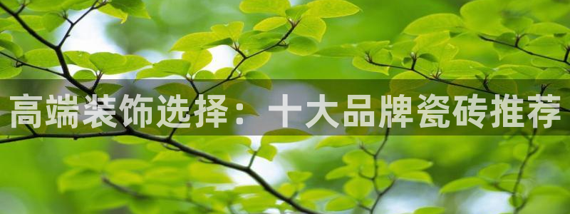 必一体育sport官网