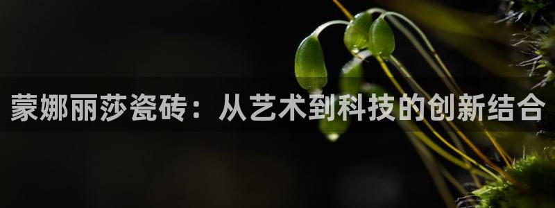 必一体育app下载