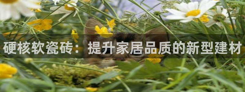 必一体育app官方正版下载