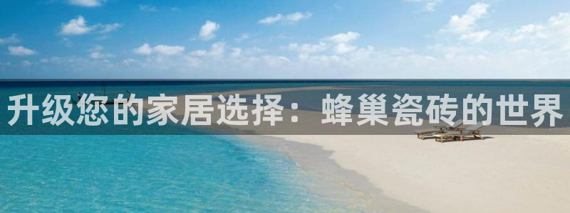 必一运动体育官网