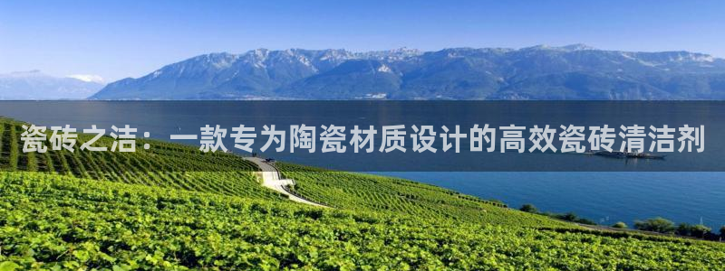 必一体育sport下载