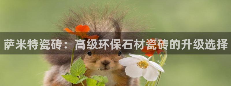 必一运动·(B-sports)