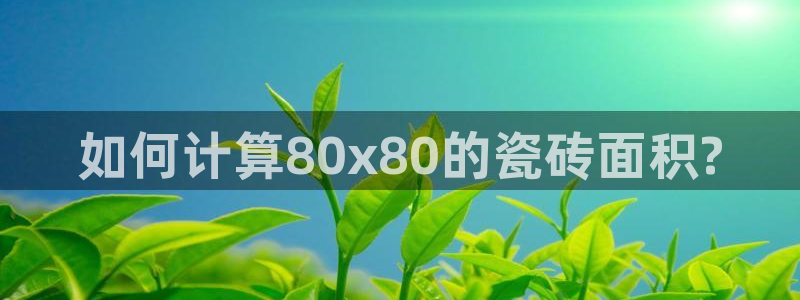 必一体育网页登录版官网