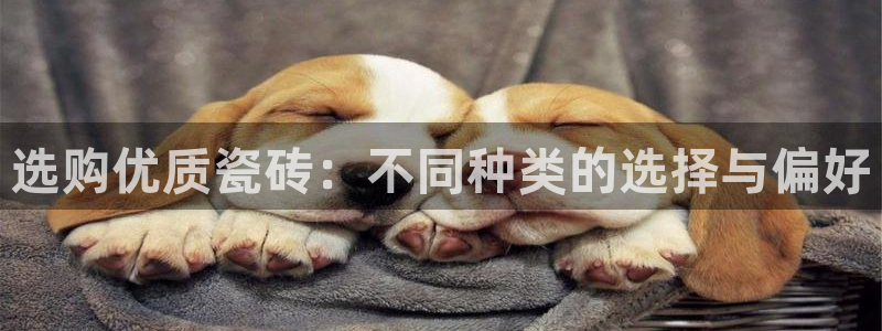 必一体育app官方网站
