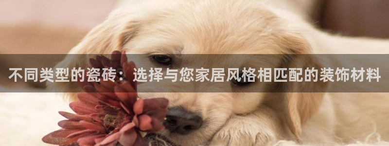 必十二和必一的副作用
