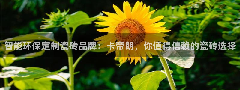 必一体育在线登录