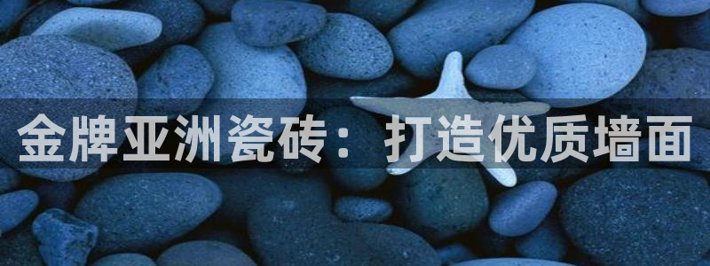 必一体育网站