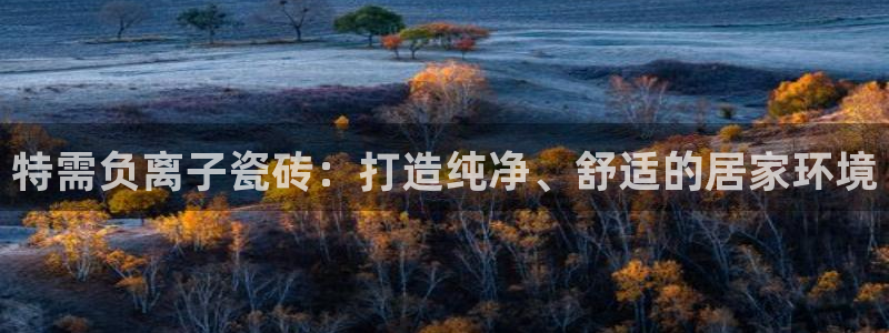 必一体育是啥