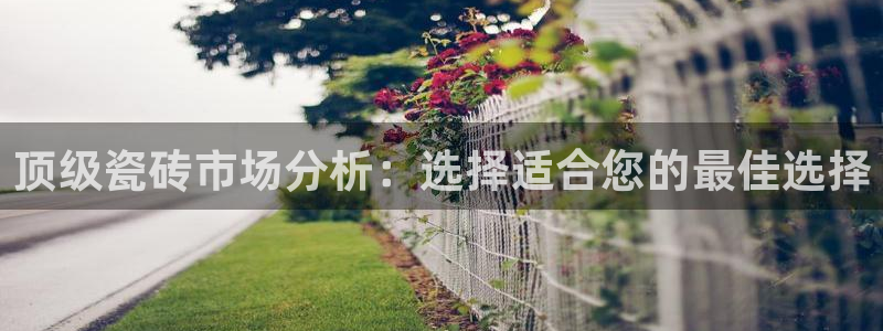 必一体育网页版登录