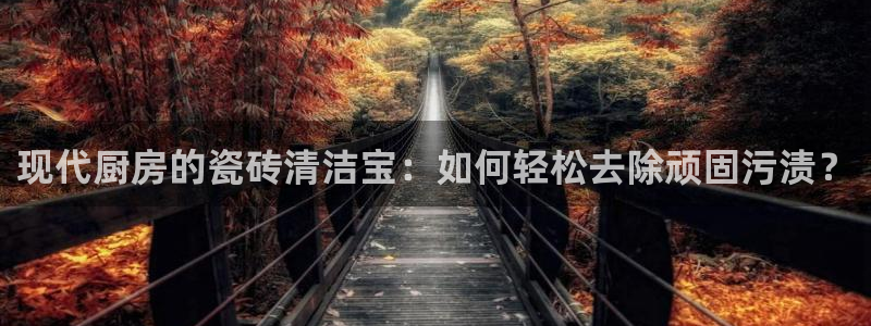 必一运动体